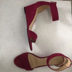 Raspberry Wedge by Marc Fisher